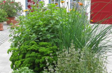 Hossies Hof - Luxus Ferienwohnung Alter Stall - Foto 18