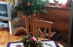 Blockhaus-Ferienwohnung - Foto 8