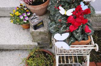 BB Cadore casa vacanze - Foto 6