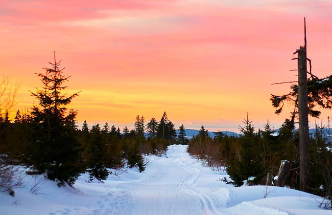 Apartment in Bodenmais Near Grosser Arber - Foto 24