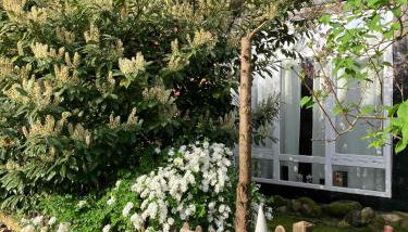 Ferienapartment Kastanje - Photo 5, Garden