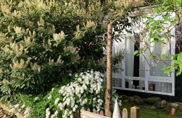 Ferienapartment Kastanje - Foto 5