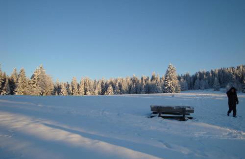 Apartments Josef Seitz - Foto 38