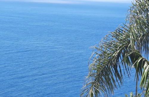 Zeza´s Sky - Photo 26