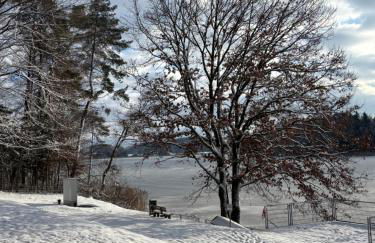 Villa Vilma Antica - Foto 8