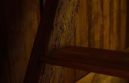 Biały Las Magiczna Stara Chata Puszcza Białowieska - Foto 26