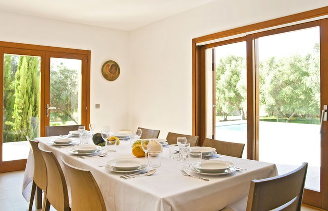 Finca Santa María - Foto 10