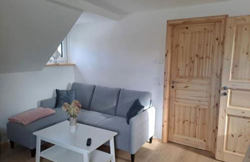 Holiday home in Oelsnitz with swimming pool - Foto 5