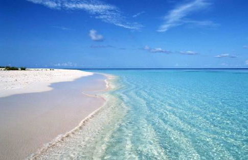 Luxury Apartment - Photo 24