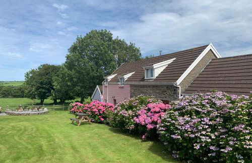 Canllefaes Cottages - Foto 61