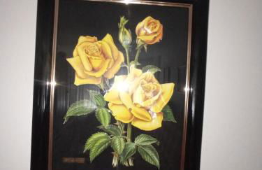 Puente Villanueva dreans - Foto 16