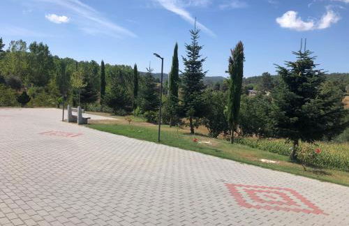 Quinta da Fervença, private river place to relax.. - Foto 8