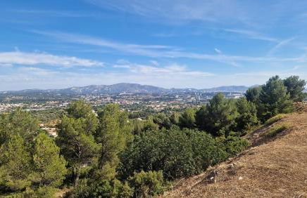 Le Cocon Marseillais - Photo 21