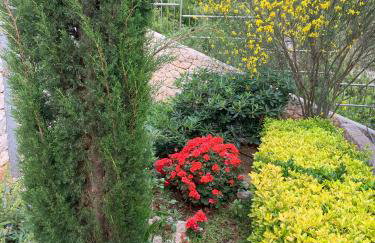 Vila Hera Korčula, Special one, pool, right on the sea,parking, 8 people - Photo 8