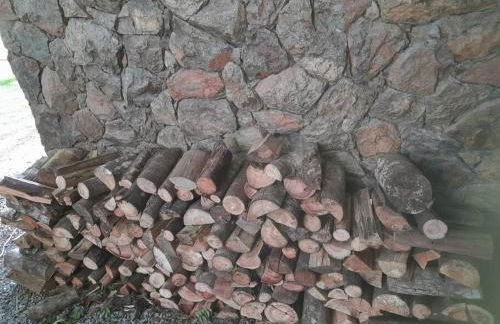 Casinha da Serra com açude - Foto 10