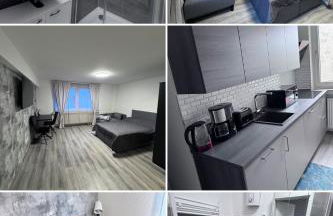 Brand-New Renovated Studio Apartment - Foto 1
