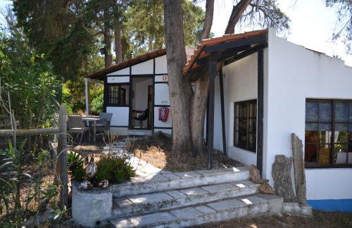 Quinta de São Pedro - Photo 50