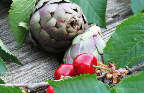 Agriturismo Casa Rosa - Foto 27