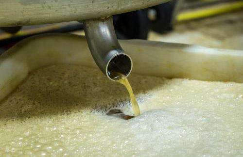 Häuslerhof - Photo 8