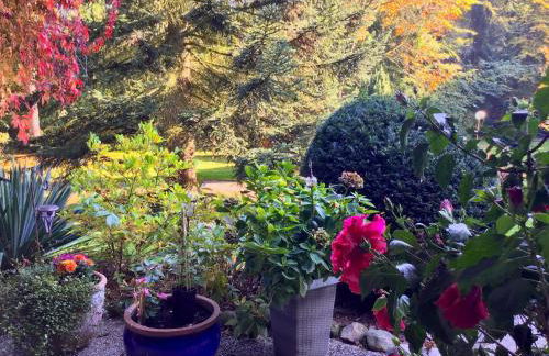 Haus am See - Foto 31