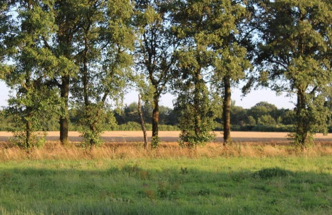 Cozy Countryside Getaway - Foto 38