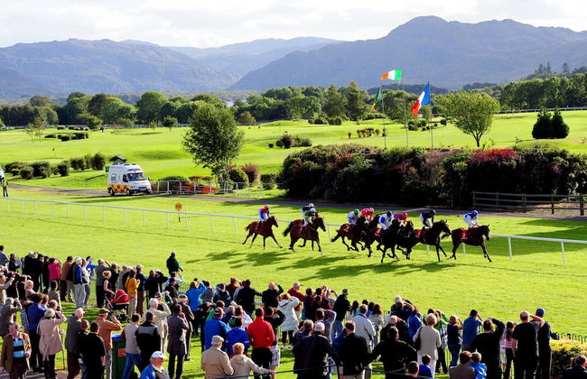 Madams Hill House Killarney - Foto 17