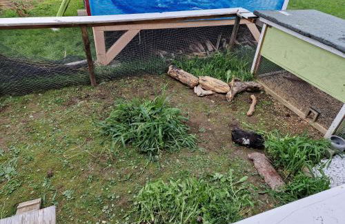 Ferienwohnung Ingrid - Foto 34