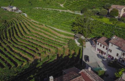 Agriturismo due Carpini - Foto 34