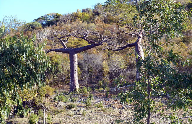 Tour por la ciudad de Antsiranana - Foto 2