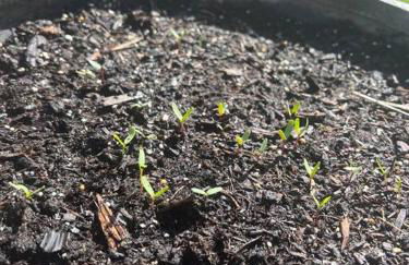 Old farmhouse with Hot tub in the Finger Lakes - Foto 8