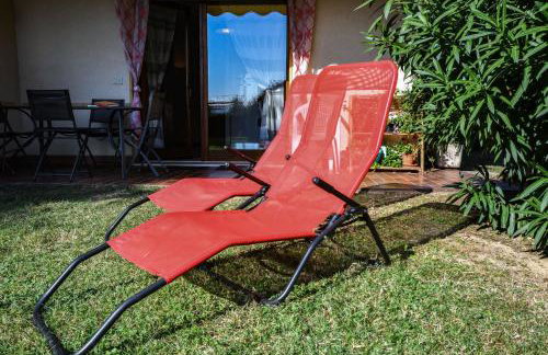 Prato Verde - Girasole - Foto 14