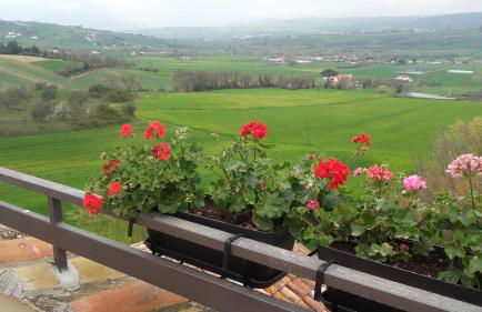 Country Relais La Torretta Baronale - Foto 8