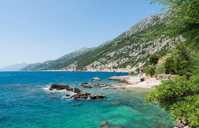 Apartments Villa Dingac - Borak - Photo 80