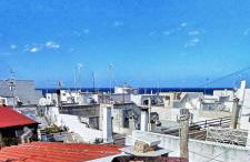 Antico Gelso - Foto 40