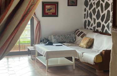 San Vicente del Raspeig Alicante - Foto 19