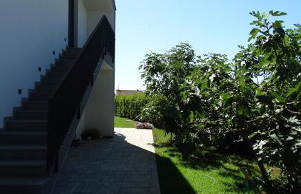 Papillon i Dolce Vita - Foto 23