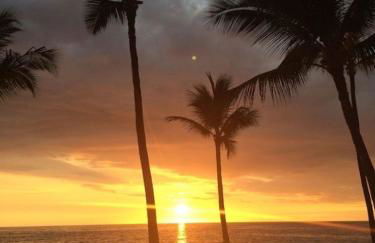 Newly Renovated Condo with SUP Paddle Boards and Golf Clubs Included - Foto 55