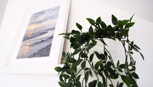 Wattwürmchen - Foto 5