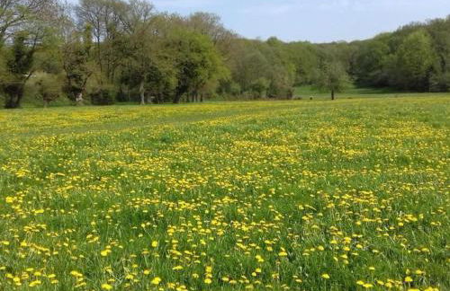 Maison authentique en Normandie - FR-1-497-160 - Foto 16
