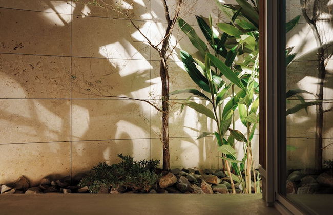 tanegashimaArakibekkan - Foto 43