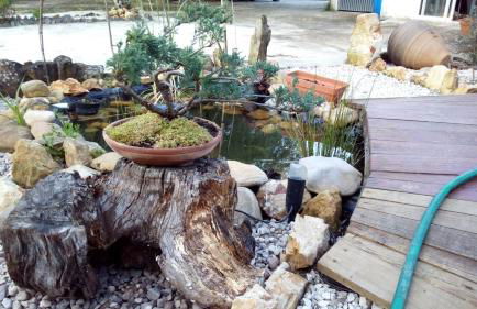 Chão da Lousa - Foto 3