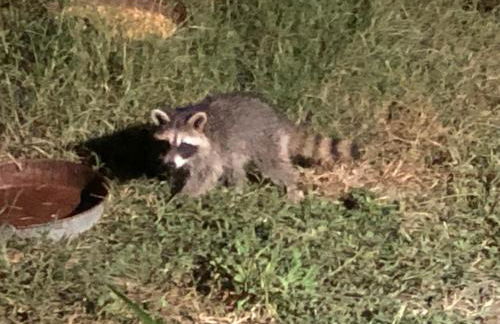 Fishers Of Men Ranch Home - Photo 64