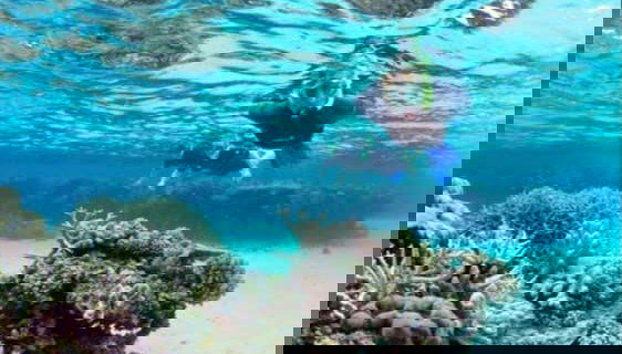 Começando a atividade de snorkel