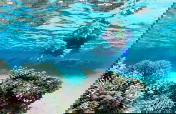 Snorkel en Sharm El Luli y Wadi El Qulaan - Foto 2