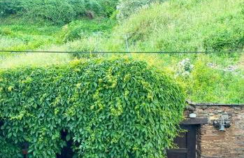 Escapada na Natureza - Charmoso Refúgio nas Alturas - Foto 32