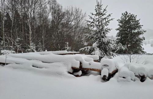 NORDIQUES DE LA WELCHE - Foto 11