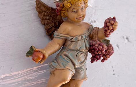 Bois Mort farm - Foto 14