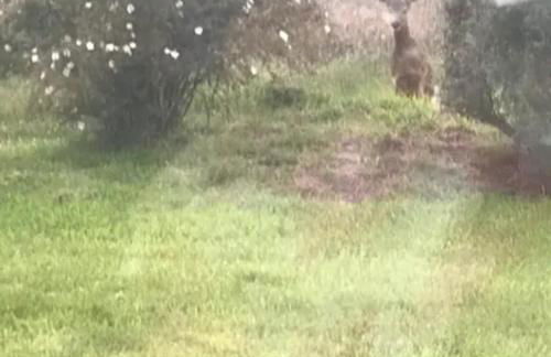 Home Comforts in Peaceful 2 Acres - Photo 17