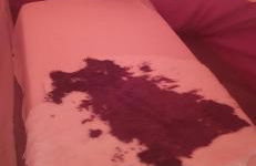 Yuccasa - Small Glamping Camping & Studio's - Photo 31