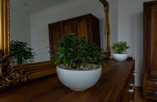 König Albert Residenz - Photo 3